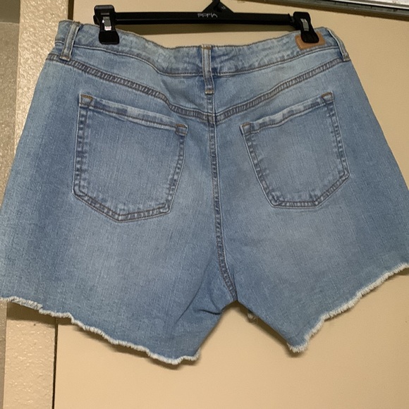 All for $15 size 12 shorts plus two tops size L (12-14) all NWT - Picture 3 of 14